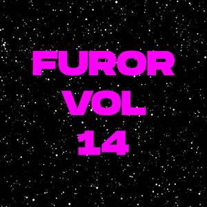 Furor Vol 14