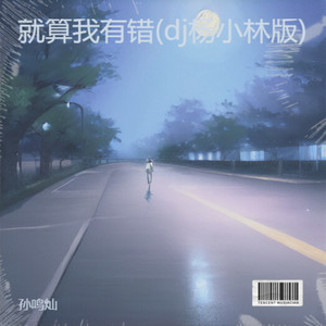 就算我有错 (DJ杨小林 remix)