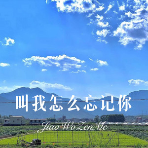 决不回头 (DJ新版)