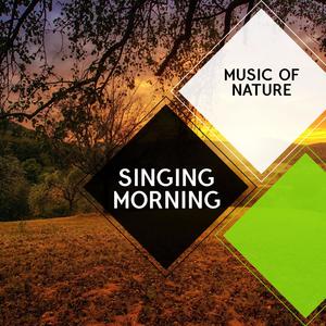 Singing Morning - Music of Nature