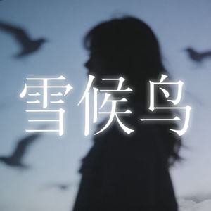 雪候鸟 (R&B)封面