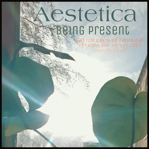 Being Present - 30 Minutes of Binaural Drones for Sleep and Meditation