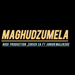 MAGHUDZUMELA (feat. Zurich sa & Junior malekere)