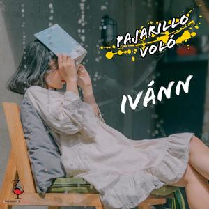 Pajarillo Voló