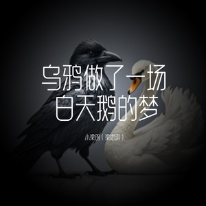 乌鸦做了一场白天鹅的梦
