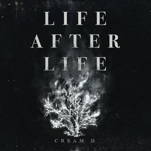 LIFE AFTER LIFE (Explicit)