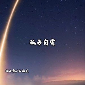 孤芳自赏 (Live)