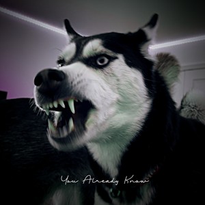 You Already Know (Explicit)