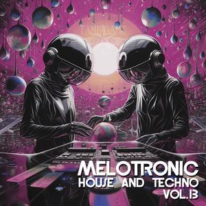 Melotronic, Vol. 13 (House and Techno)