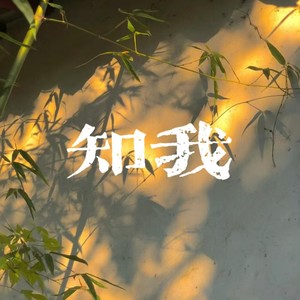知我-剑来