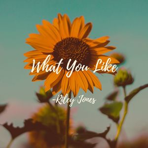 What You Like