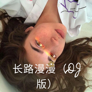 长路漫漫-狂狼狂狼 (Remix)