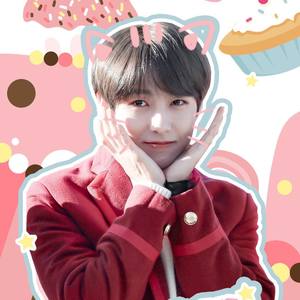 Little Star (填词版)