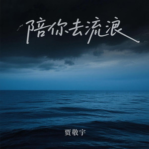 陪你去流浪 - 贾敬宇封面