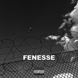 DLM (Explicit)