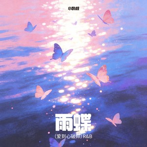 雨蝶（爱到心破碎）封面