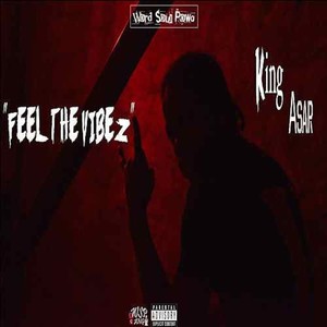 Feel The Vibez (Explicit)