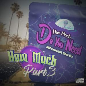 How Much, Pt. 3 (feat. Blacc Cza) (Explicit)