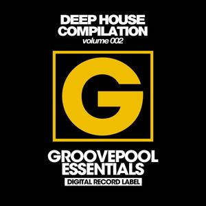 Do You Wanna House (Original Mix)