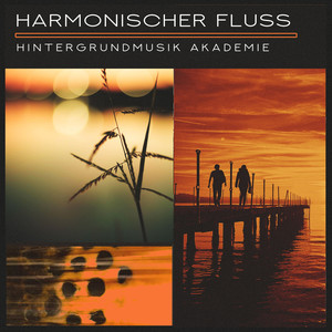 Harmonischer Fluss