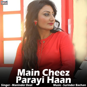 Main Cheez Parayi Haan