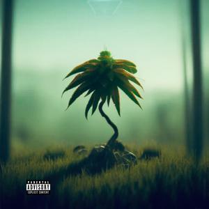 We'll Be Fine (feat. LosingLucid) (Explicit)