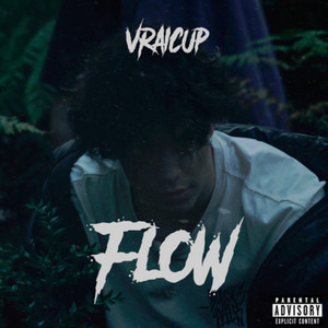 Flow (Explicit)