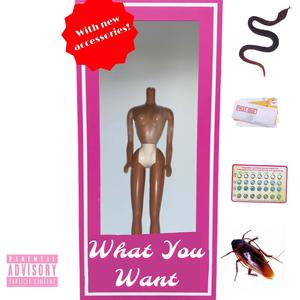 What You Want (Explicit)