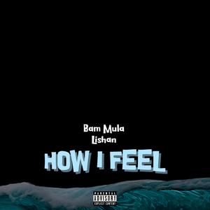 HOW I FEEL (feat. Bam Mula) (Explicit)