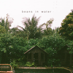 Beans in Water
