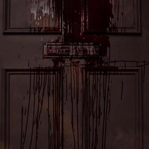 cannibal disco (Explicit)