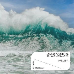 逆风奇迹