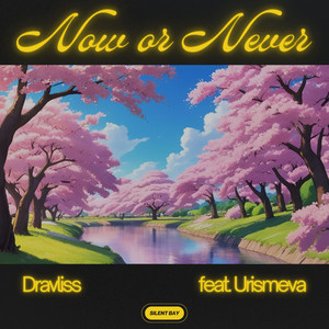 Now or Never (feat. Urismeva)