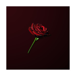 dontloveme - U(feat. Visions)