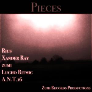 Pieces (feat. A.N.T16, zumi, Rius, Xander Ray & Lucho Ritmic) [Explicit]