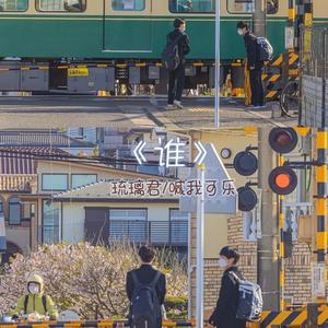 谁-曲肖冰
