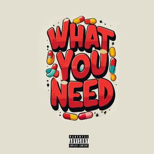 What You Need (feat. Rellz4k & Shotboy) [Explicit]