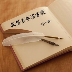 我想为你写首歌
