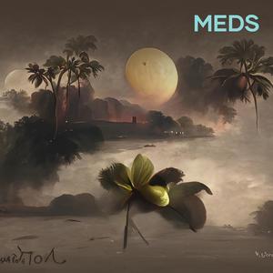 Meds (Explicit)