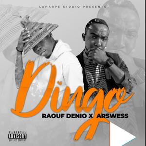 Dingo (feat. Raouf Denio) [Explicit]