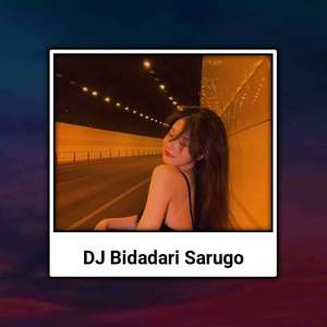 DJ BIDADARI SARUGO BREAKBEAT