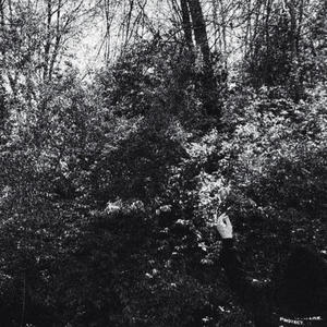 forty five (Explicit)