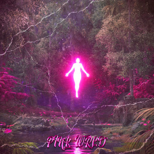 Pink Swag (Explicit)