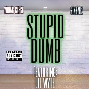 Stupid Dumb (feat. Lil Wyte & Sikknez) [Explicit]