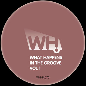 What Happens in the Groove Vol 1