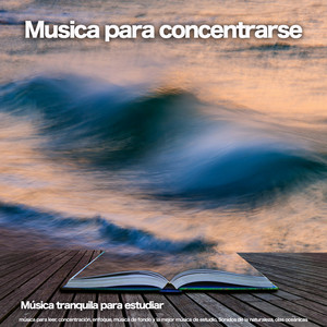 Musica para concentrarse: Música tranquila para estudiar, música para leer, concentración, enfoque, música de fondo y la mejor música de estudio, Sonidos de la naturaleza, olas oceánicas