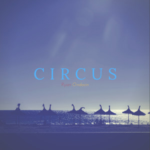 Circus (feat. Seedy)