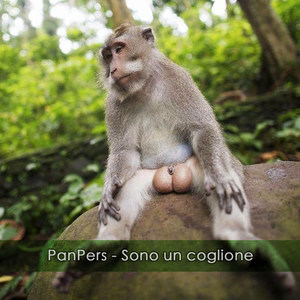 Sono un coglione