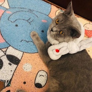 半城烟沙 (弹唱版)