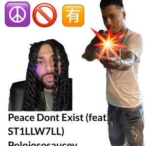 Peace Dont Exist (Explicit)